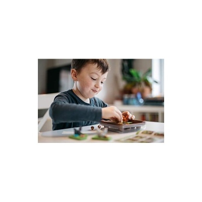 Smart Games - Jogo De Lógica Os Esquilos