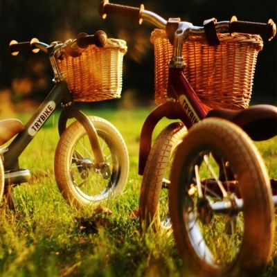 TryBike- Cesto de Verga para Bicicleta