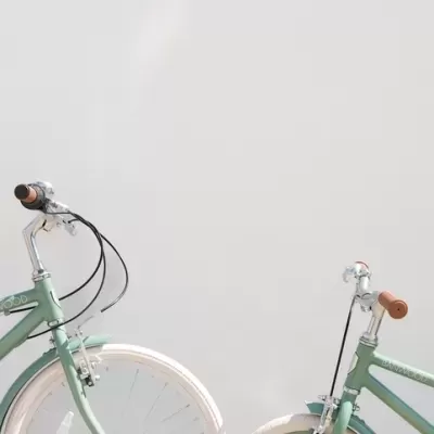 Banwood Bicicleta Clássica 20" Vintage Verde Floresta