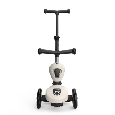 Scoot And Ride Trotinete Evolutiva Push and Go Ash