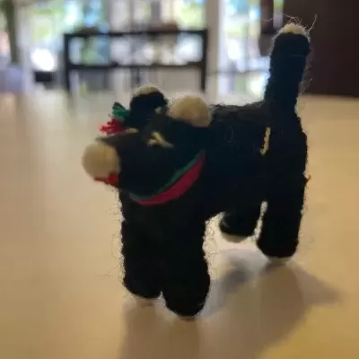 Boneca Da Preocupação Com o Gato