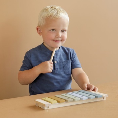 Little Dutch Xilofone De Madeira - Blue