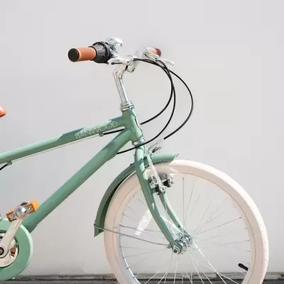 Banwood Bicicleta Clássica 20" Vintage Verde Floresta