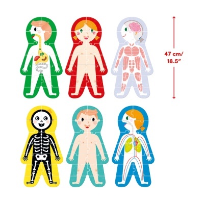 Banana Panda Puzzle My Body Banana Panda Puzzle My Body