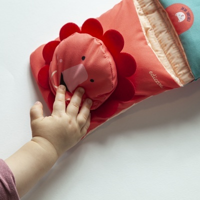 Edicare Livro Olá Animais do Zoo