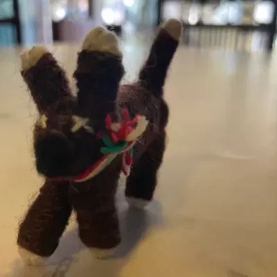 Boneca Da Preocupação Com o Cão