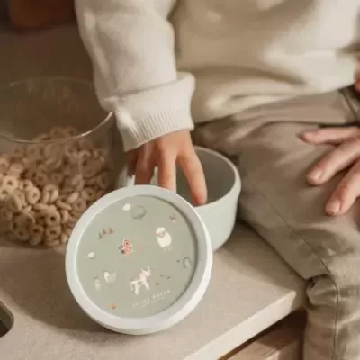 Caixa Para Fruta | Little Farm