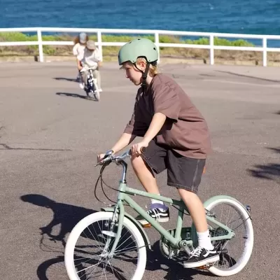 Banwood Bicicleta Clássica 20" Vintage Verde Floresta