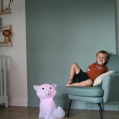 Luz de Presença Coluna Musical Raposa Cesar