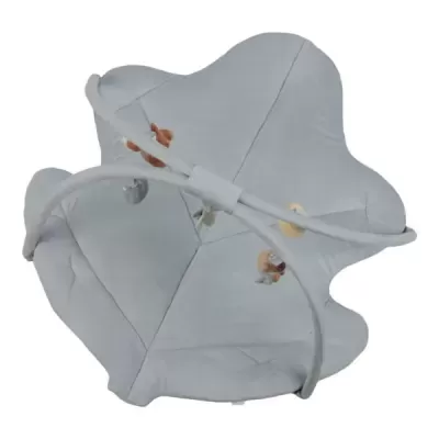 Little Dutch Ginásio e Tapete de Actividades em Arco – Forest Friends