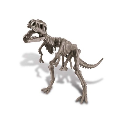 4M Kit de Escavação Tyrannosaurus Rex