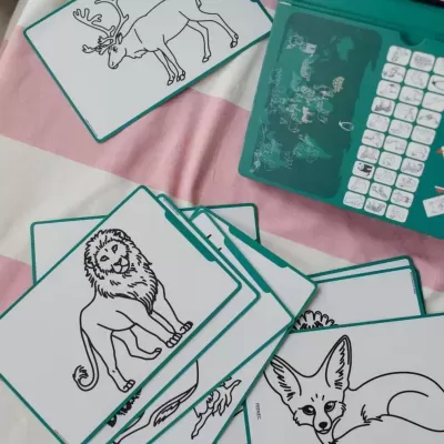 Kidywolf Kidydraw Mini Tablet Animais do Mundo