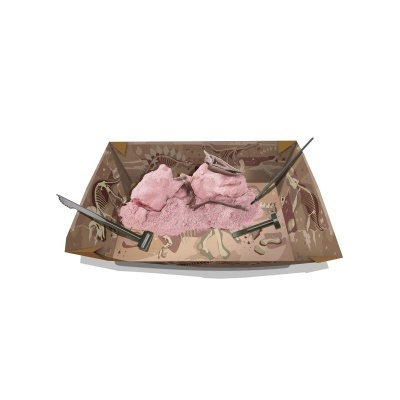 4M Kit de Escavação Pterodáctil