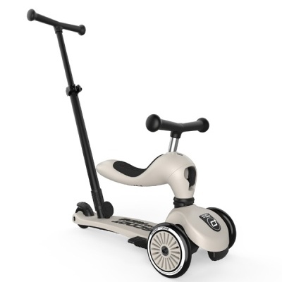 Scoot And Ride Trotinete Evolutiva Push and Go Ash