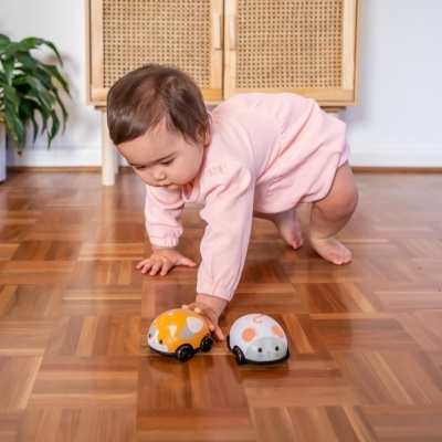 Tiger Tribe Pull Backs Gato e Rato Tiger Tribe Pull Backs Gato e Rato