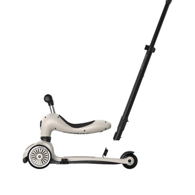 Scoot And Ride Trotinete Evolutiva Push and Go Ash