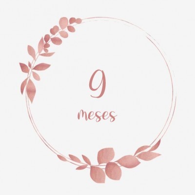 9 meses+