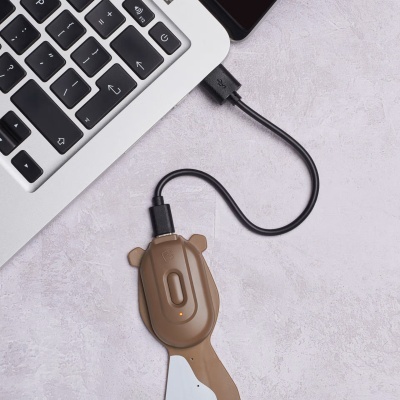 Lanterna de Leitura Recarregável Flexilight Cão