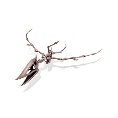 4M Kit de Escavação Pterodáctil