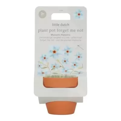 Little Dutch Vaso Com Sementes - Não me Esqueças