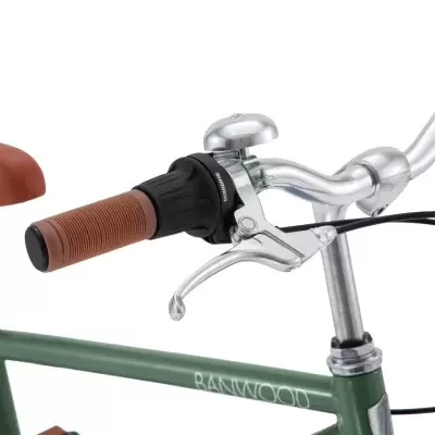 Banwood Bicicleta Clássica 20" Vintage Verde Floresta