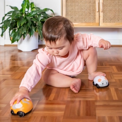 Tiger Tribe Pull Backs Gato e Rato Tiger Tribe Pull Backs Gato e Rato