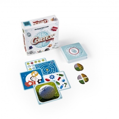 Zygomatic Cortex Challenge 2