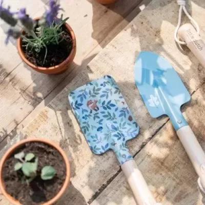 Little Dutch Vaso Com Sementes - Não me Esqueças