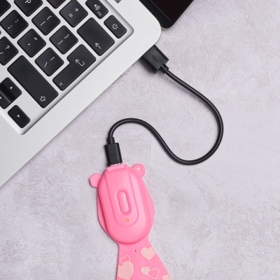 Lanterna de Leitura Recarregável Flexilight Urso Rosa