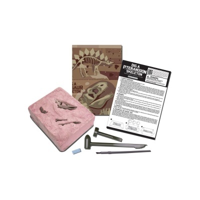 4M Kit de Escavação Pterodáctil