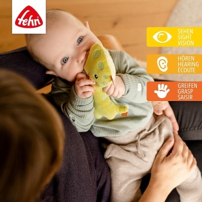 Fehn Roca Dinossauro Feliz Fehn Roca Dinossauro Feliz