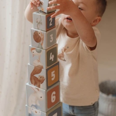 Little Dutch Cubos De Encaixe E Torre Em Cartão - Forest Friends
