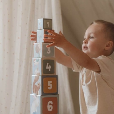 Little Dutch Cubos De Encaixe E Torre Em Cartão - Forest Friends