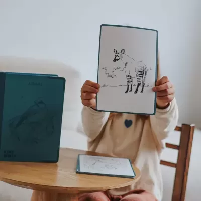 Kidywolf Kidydraw Pad Com Luz +10 Anos