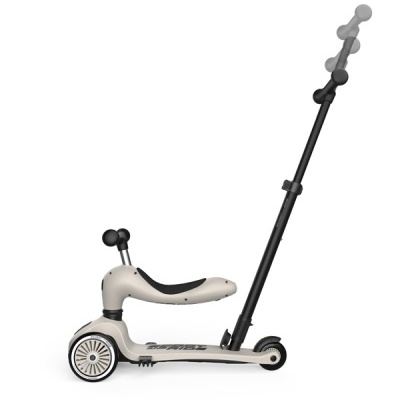 Scoot And Ride Trotinete Evolutiva Push and Go Ash