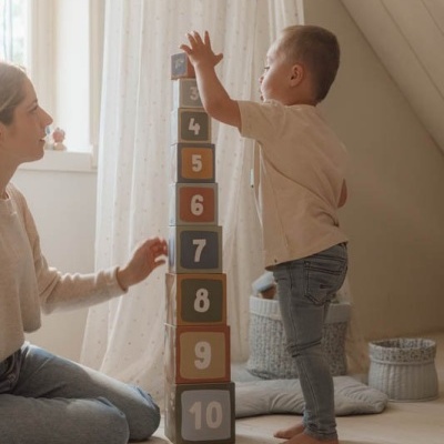 Little Dutch Cubos De Encaixe E Torre Em Cartão - Forest Friends