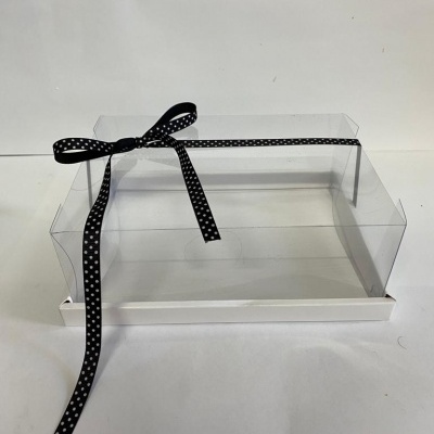 CAIXA TAMPA PVC 21.5X15.5X8CM