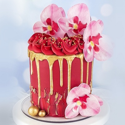 ORQUIDEA ROSA 8.5-7.5CM