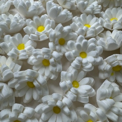 MIMINHOS - MINI MARGARIDAS - FLORES EM AÇUCAR