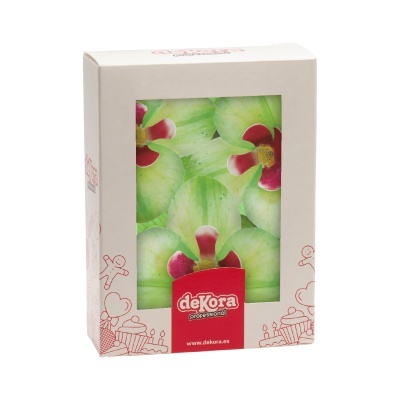 ORQUIDEA HOSTIA VERDE 10U