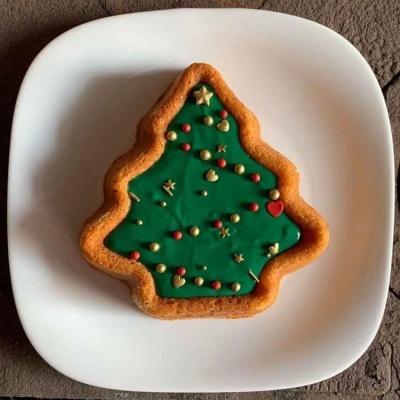 FORMA PISCINA PINHEIRO 18X18X4.5CM