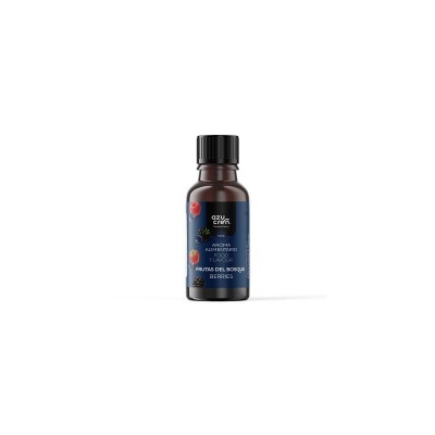 AROMA CONCENTRADO 10ML-SEM GLÚTEN