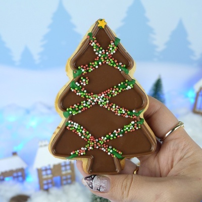 Forma de Acetato Aplique Natal BWB 10237