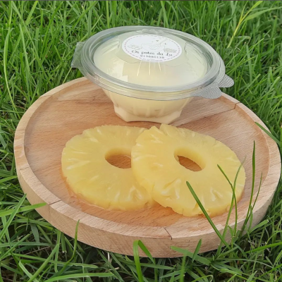 TAÇA BOLO NO POTE R-250