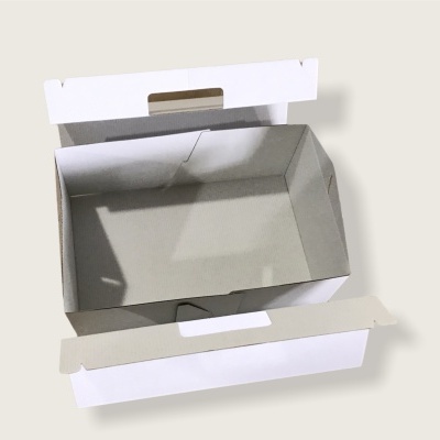 CAIXA COM PEGA 24.5X32X12CM cor branca