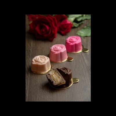 FORMA ACETATO 3PARTES TRUFA ROSA