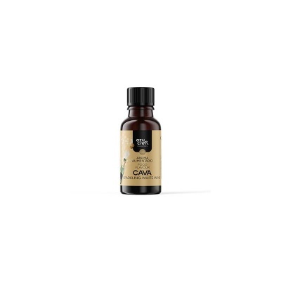 AROMA CONCENTRADO 10ML-SEM GLÚTEN