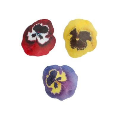FLOR HOSTIA AMOR-PERFEITO 5CM FLOR HOSTIA AMOR-PERFEITO 5CM