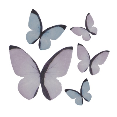 BORBOLETAS HOSTIA PASTEL 3-6CM 79UNID BORBOLETAS HOSTIA PASTEL 3-6CM 79UNID