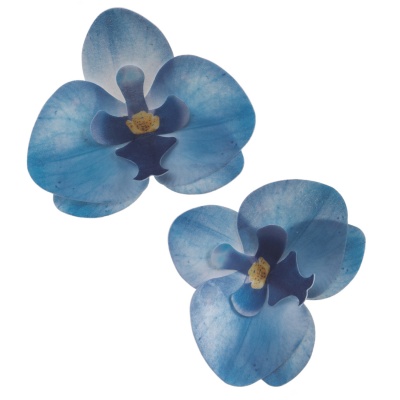 ORQUIDEA AZUL 8.5-7.5CM ORQUIDEA AZUL 8.5-7.5CM